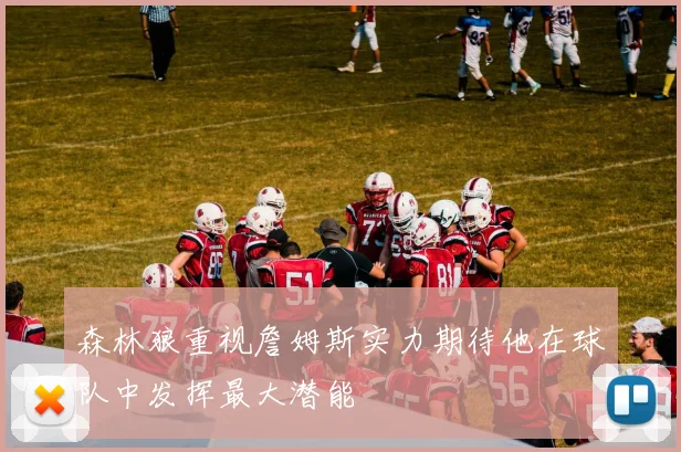 森林狼重视詹姆斯实力期待他在球队中发挥最大潜能